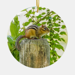 Ornement Rond En Céramique Chipmunk sur un poteau de clôture