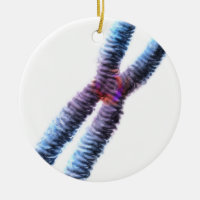 chromosome