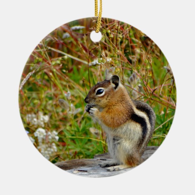 Ornement Rond En Céramique Chubby mignon chipmunk sur la souche de bois (Devant)