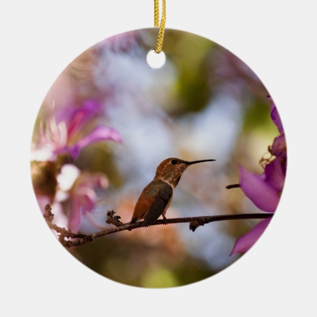 Ornement Rond En Céramique Colibri (Devant)