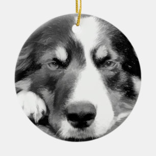 ORNEMENT ROND EN CÉRAMIQUE COLLIE FRONTALIÈRE