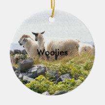 Conception risquée - Moutons dans un champ