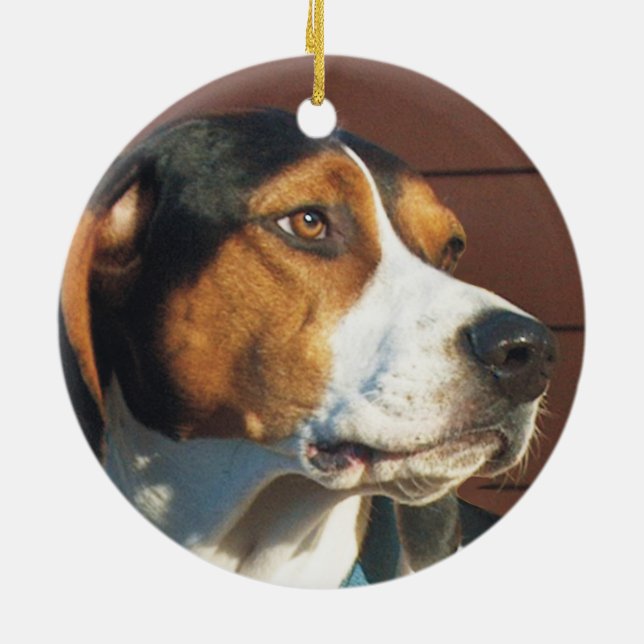 Ornement Rond En Céramique Coonhound de marcheur de Treeing (Dos)