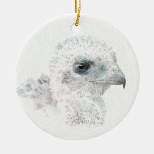 Ornement Rond En Céramique Coopers Hawk Chick (Devant)