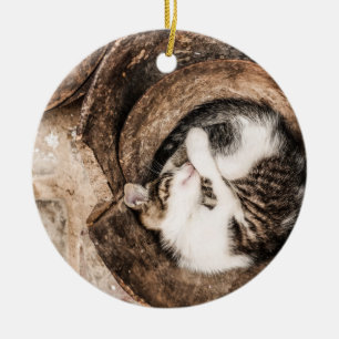 Ornement Rond En Céramique Créer votre propre - Nap de chat