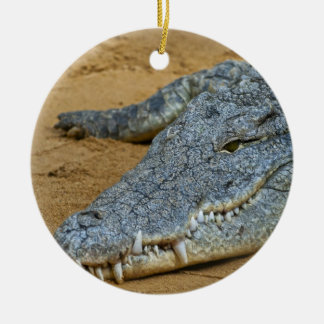 Ornement Rond En Céramique Crocodile