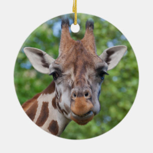 Ornement Rond En Céramique Curios Giraffe