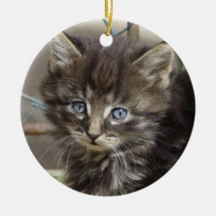 Ornement Rond En Céramique Cute Tiger-Chat Kitten