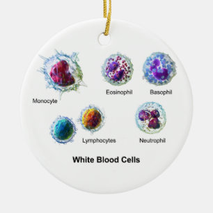 Ornement Rond En Céramique Diagramme des leucocytes de globules blancs