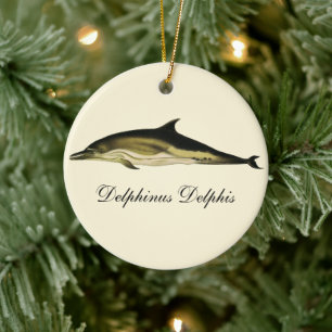 Ornement Rond En Céramique Dolphin Delphinus Delphis, Mammifères marins Vinta