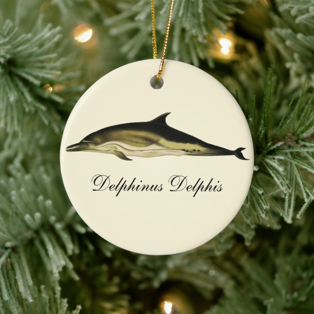 Ornement Rond En Céramique Dolphin Delphinus Delphis, Mammifères marins Vinta (Arbre)