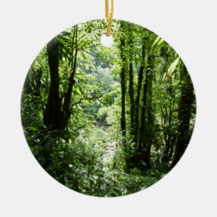 Ornement Rond En Céramique Dominicain Forêt de pluie II Vert tropical