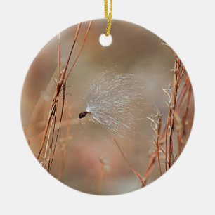 Ornement Rond En Céramique Duvet de Milkweed