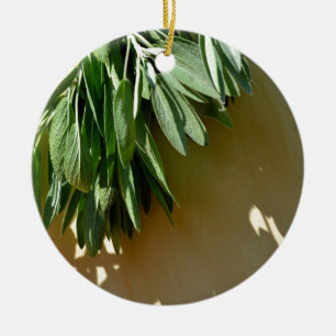 Ornement Rond En Céramique Elégante plante verte feuille sauge