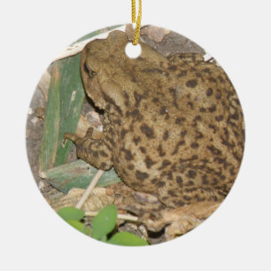 Ornement Rond En Céramique European Common Toad Custom Anniversaire