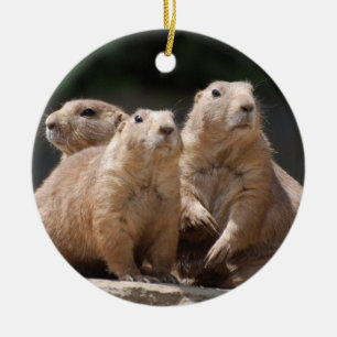 Ornement Rond En Céramique Famille de chien de prairie