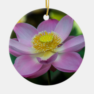 Ornement Rond En Céramique Fleur de lotus en fleurs, Indonésie