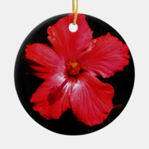 Ornement Rond En Céramique Fleur d'Hibiscus rouge rose chaud sur noir