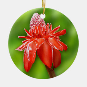Ornement Rond En Céramique Fleur Exotique Rose des Caraïbes rouges
