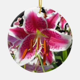 Ornement Rond En Céramique Fleur rose rose rose rose fleur rose fleur tropica