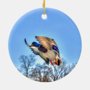 Ornement Rond En Céramique Flying Mallard Duck Drake Wildlife Photo