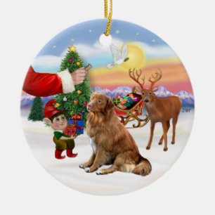 Ornement Rond En Céramique Friandise pour un retriever à toller de Nouvelle-É