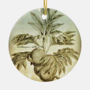 Ornement Rond En Céramique Fruits à pain antiques Artocarpus Altilis