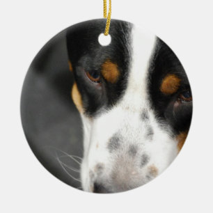 Ornement Rond En Céramique greater-swiss-mountain-dog-1.jpg