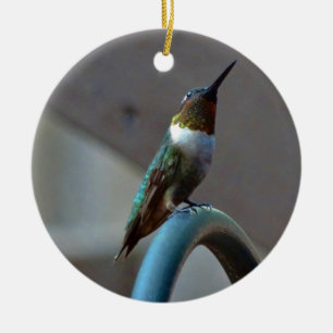 Ornement Rond En Céramique Green ruby little hummingbird