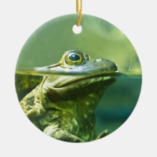 Ornement Rond En Céramique Grosse grenouille