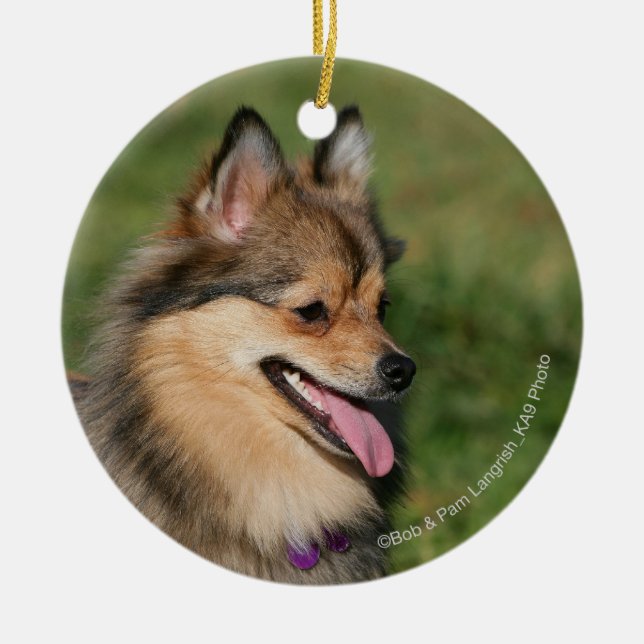 Ornement Rond En Céramique Halètement de Headshot de Pomeranian (Devant)