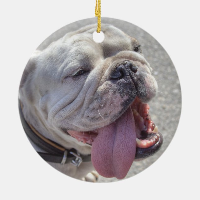Ornement Rond En Céramique Happy White Bulldog (Dos)