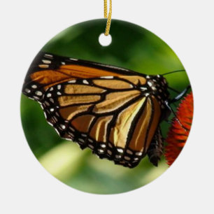 Ornement Rond En Céramique Haut étroit de papillon