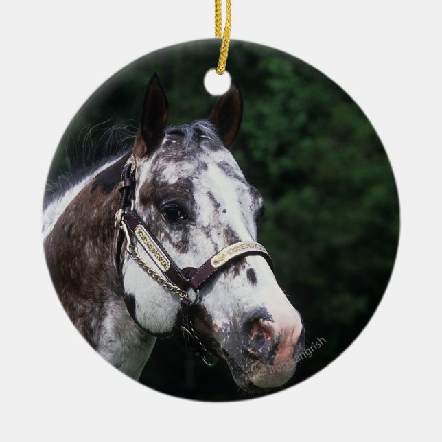 Ornement Rond En Céramique Headshot 2 de cheval d'Appaloosa (Devant)
