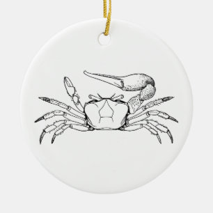 Ornement Rond En Céramique Illustration de crabe de violoneur (schéma)