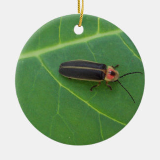 Ornement Rond En Céramique Insecte de foudre sur la feuille