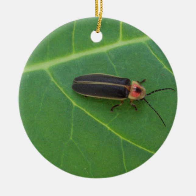 Ornement Rond En Céramique Insecte de foudre sur la feuille (Devant)