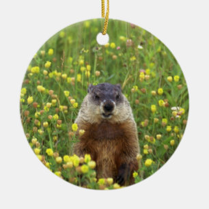 Ornement Rond En Céramique Je suis Groundhog