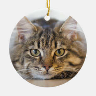 Ornement Rond En Céramique Joli Kitty Vous regarde