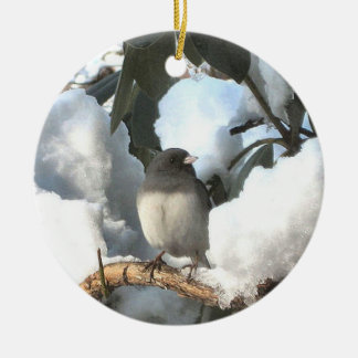 Ornement Rond En Céramique Junco d'hiver