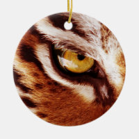 La photographie de l'oeil du tigre