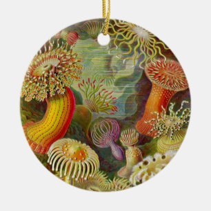 Ornement Rond En Céramique La vie d'océan d'Actinae d'Ernst Haeckel
