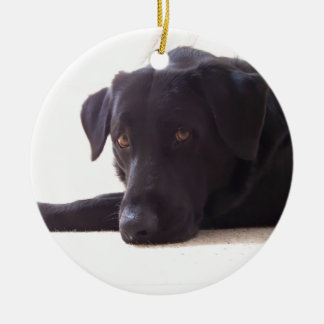 Ornement Rond En Céramique labrador retriever