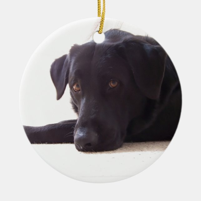 Ornement Rond En Céramique labrador retriever (Devant)