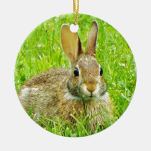 Ornement Rond En Céramique lapin
