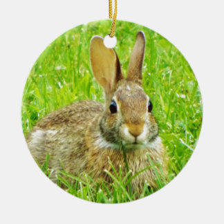 Ornement Rond En Céramique lapin