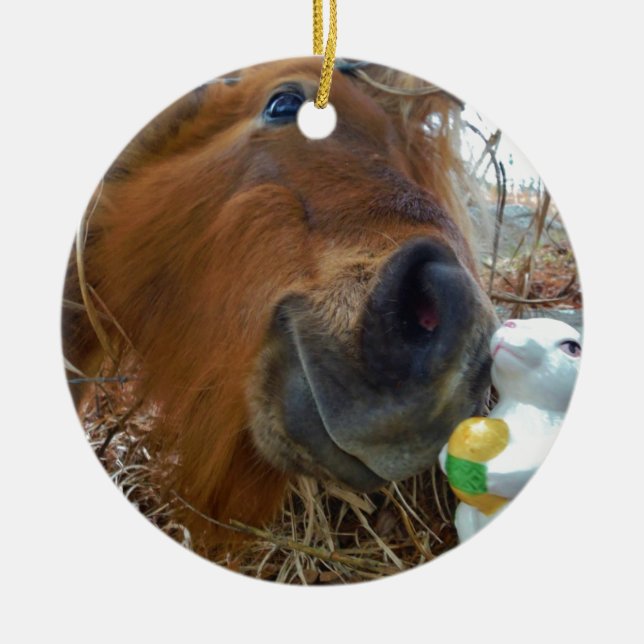 Ornement Rond En Céramique Lapin de Pâques et cheval Brown (Devant)