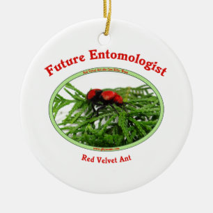 Ornement Rond En Céramique Le futur entomologiste aime des insectes