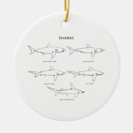 Ornement Rond En Céramique Logo d'espèces de requins