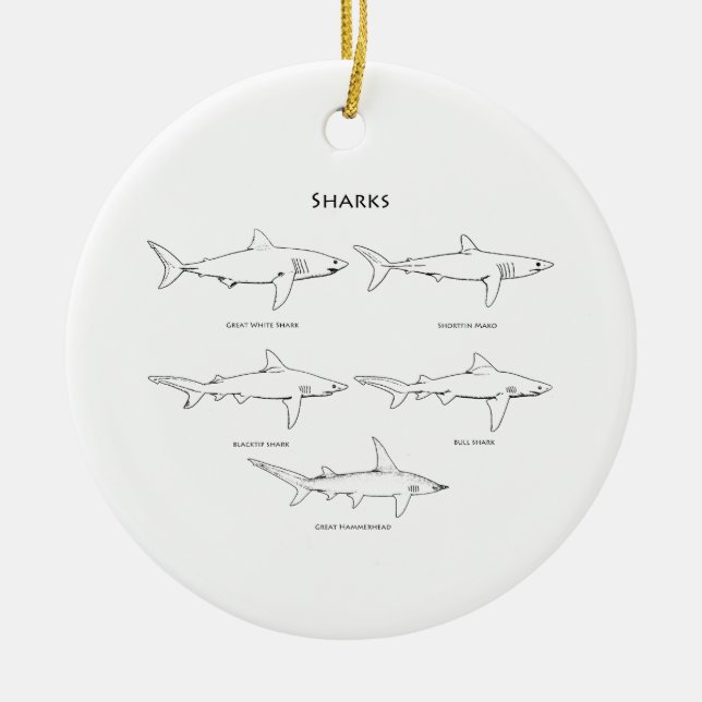Ornement Rond En Céramique Logo d'espèces de requins (Devant)